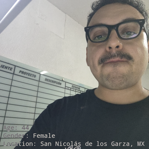 frame